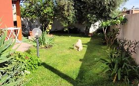 Kokky'S Home